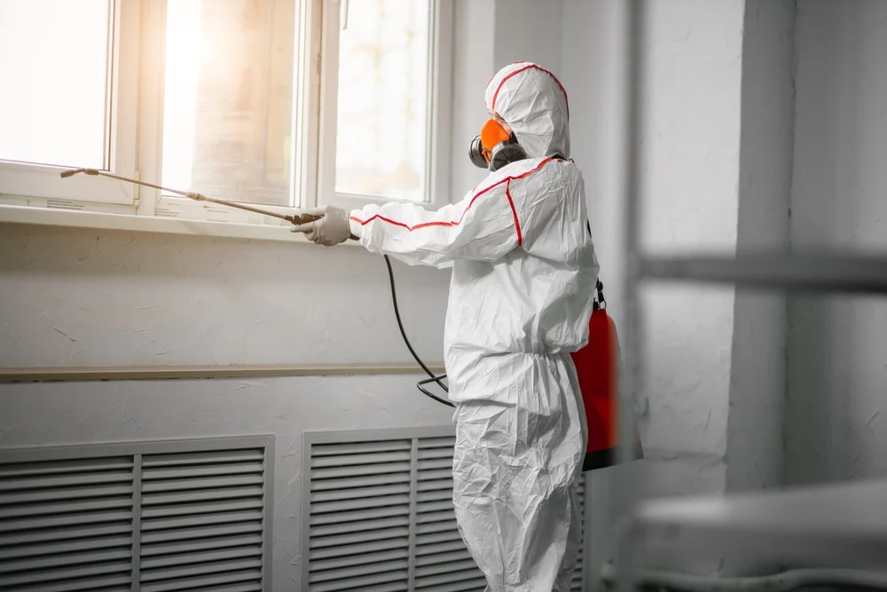 Professional mold remediation services in Watertown, CT